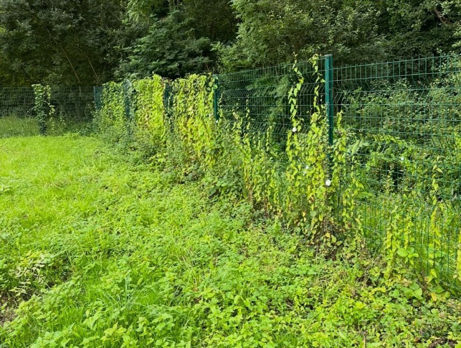 Notre dépôt : bardage repeint en anthracite, Paimpol
